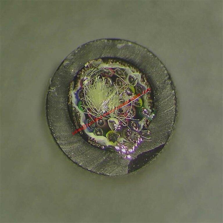 Özel Kablo Üreticisinin Biyopsi Görüntüleme Kablosu